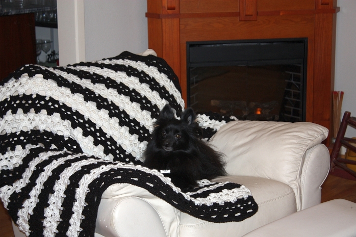 This is the popular Skull Afghan pattern for sale on the Ravelry store.  Percy enjoyed this photo shoot. lol 